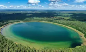 Jezioro Płaskie na Suwalszczyźnie otoczone lasem, z turkusową wodą i zielonymi płyciznami.