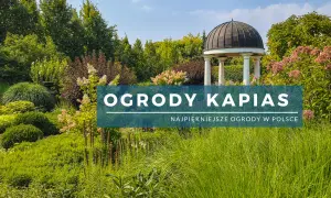 Ogrody Kapias – piękne, zielone zakątki z altaną. Sprawdź aktualne ogrody kapias cena biletu i zaplanuj wizytę!