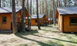 Drewniane domki w lesie, idealne na tanie domki na Mazurach. Słońce przebija się przez sosny, tworząc cień na trawie.