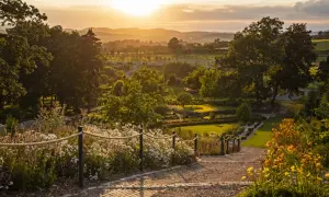 Kiedy jechać do arboretum Wojsławice, aby nie przegapić kwitnienia?