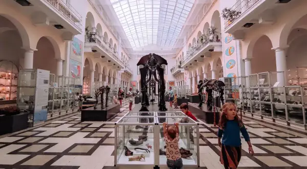 Wielka sala z szkieletami dinozaurów, idealne muzeum dla dzieci w Warszawie. Dzieci z zaciekawieniem oglądają eksponaty.