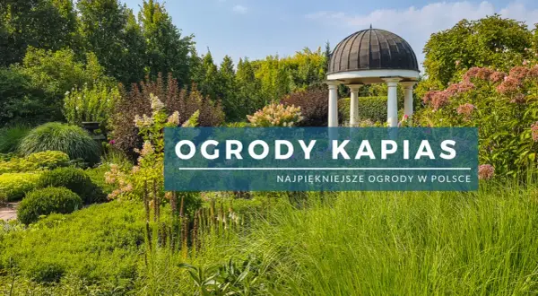 Ogrody Kapias – piękne, zielone zakątki z altaną. Sprawdź aktualne ogrody kapias cena biletu i zaplanuj wizytę!