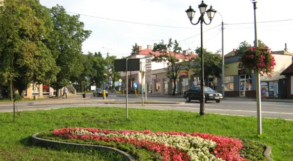 Kwiatowa rabata i uliczny krajobraz Sokołowa Podlaskiego. Atrakcje miejskie w letnim słońcu.