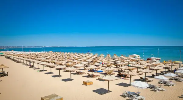 Słoneczny brzeg plaża z rzędami parasoli i leżaków, w tle błękitne morze i niebo.