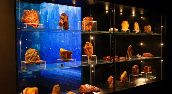 W Muzeum Bursztynu w Gdańsku zobaczysz bursztyny. Sprawdź muzeum bursztynu gdańsk cena biletu, by zaplanować wizytę.