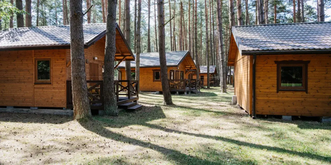 Drewniane domki w lesie, idealne na tanie domki na Mazurach. Słońce przebija się przez sosny, tworząc cień na trawie.