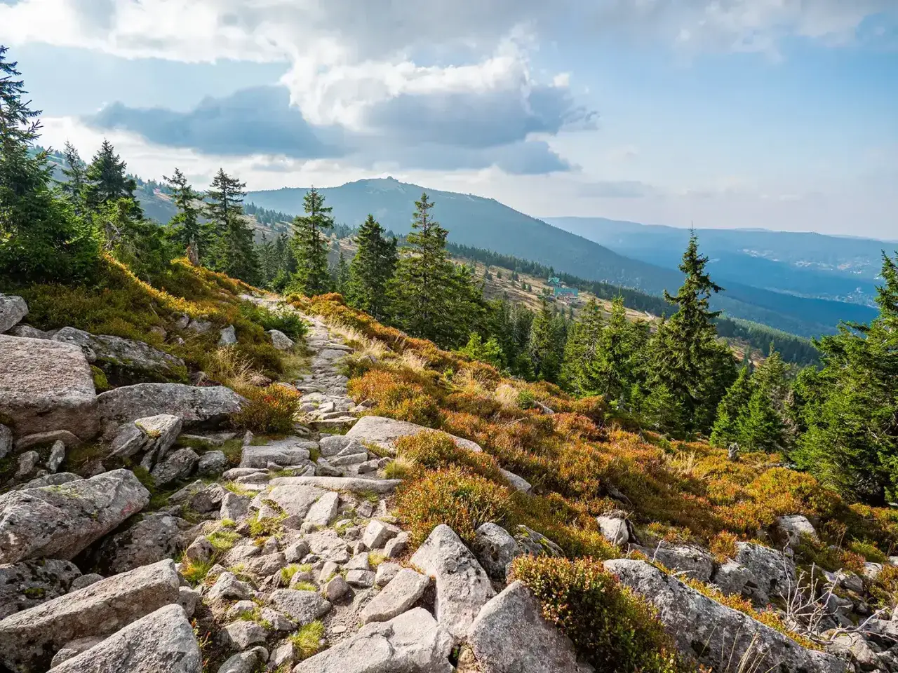 Kamienista ścieżka w Karkonoszach, gdzie są piękne widoki na góry i lasy.