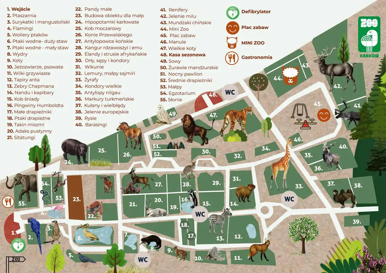 Mapa Zoo Kraków z zaznaczonymi zwierzętami i atrakcjami. Znajdziesz tu m.in. słonie, żyrafy, tygrysy i plac zabaw. Sprawdź zoo kraków cennik i zaplanuj wizytę!