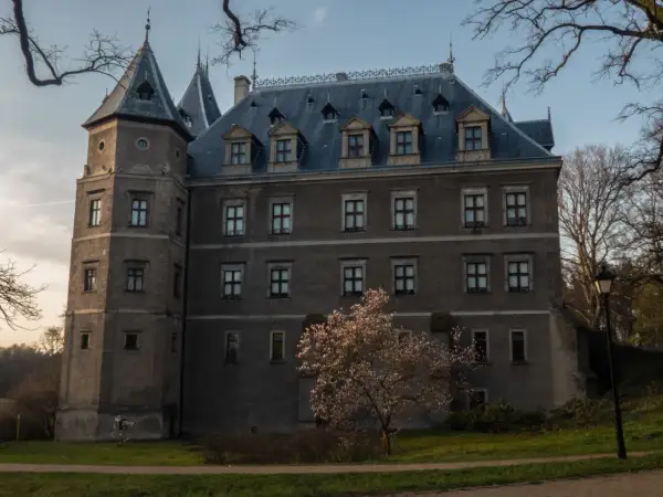 Zamek w Gołuchowie z kwitnącą magnolią. Sprawdź gołuchów cennik zwiedzania.